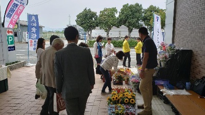 色とりどりの花鉢販売はお客様に大変好評でした