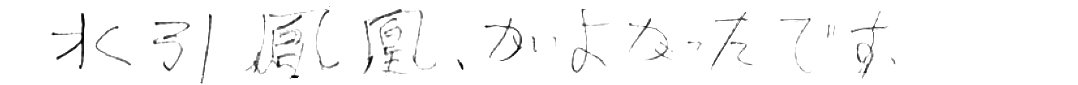 水引鳳凰がよかったです。